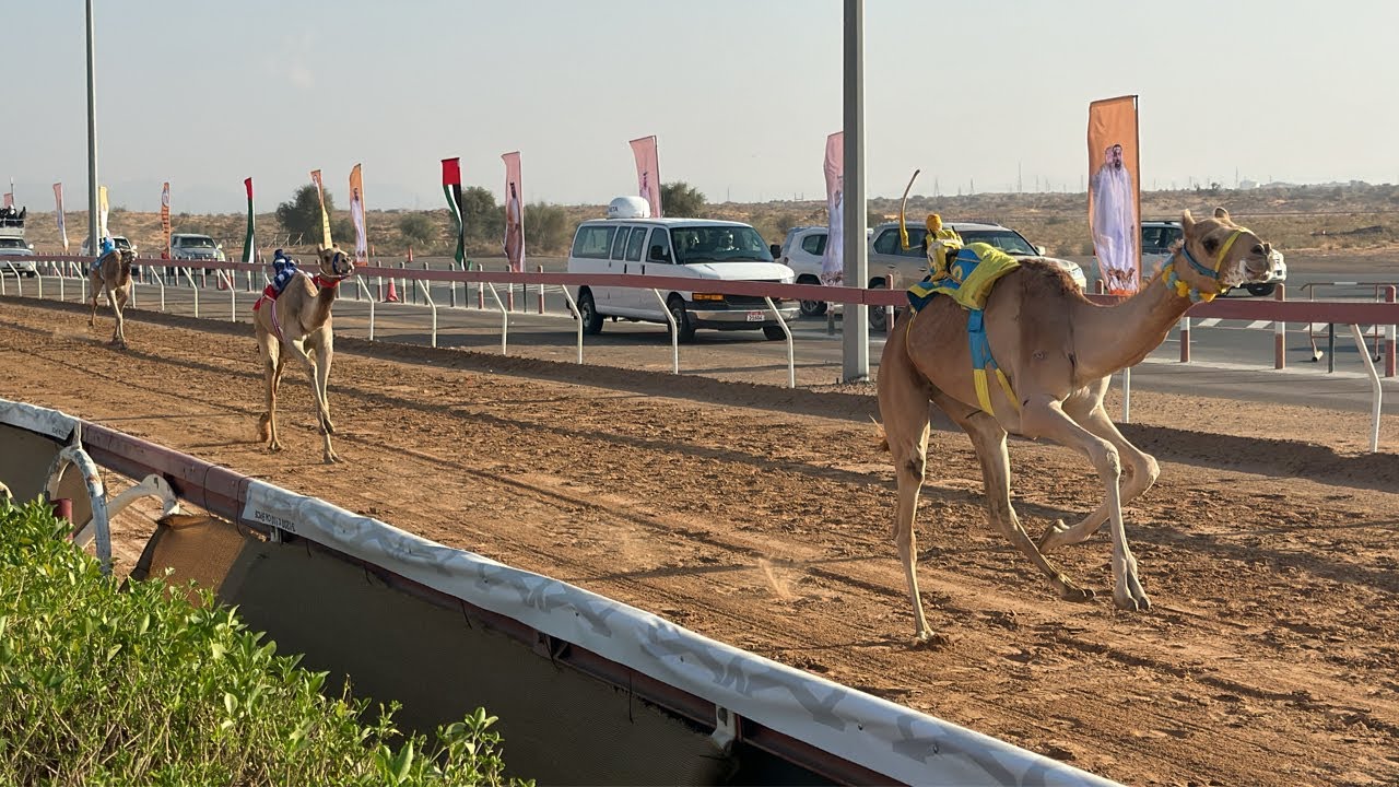 نتائج مباريات دوري الدرجة الأولى