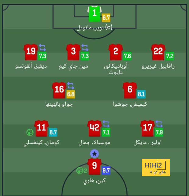 dortmund vs hoffenheim