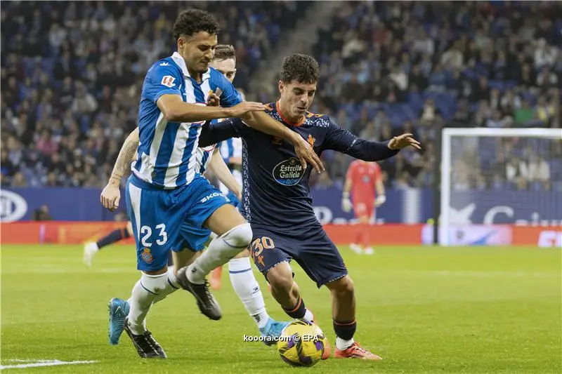 leicester city vs brighton