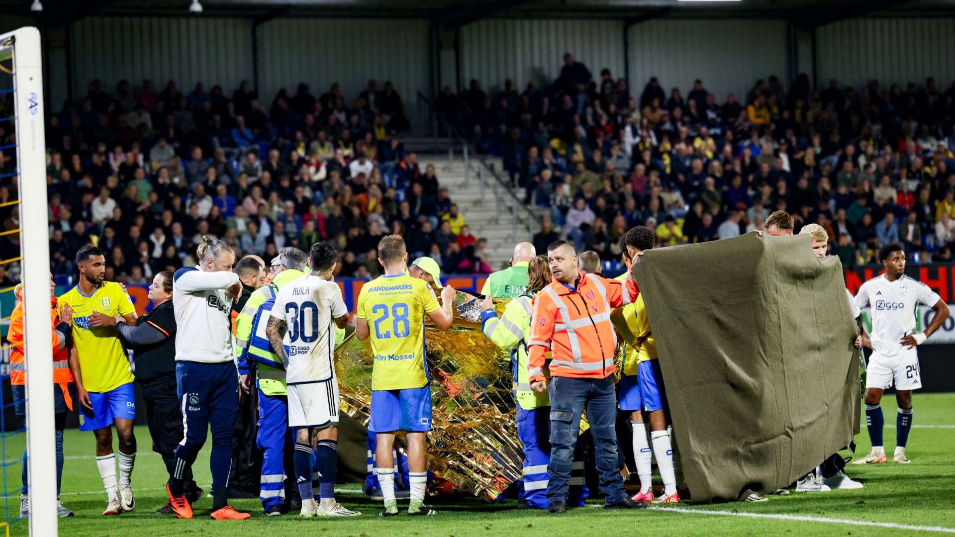 leicester city vs brighton