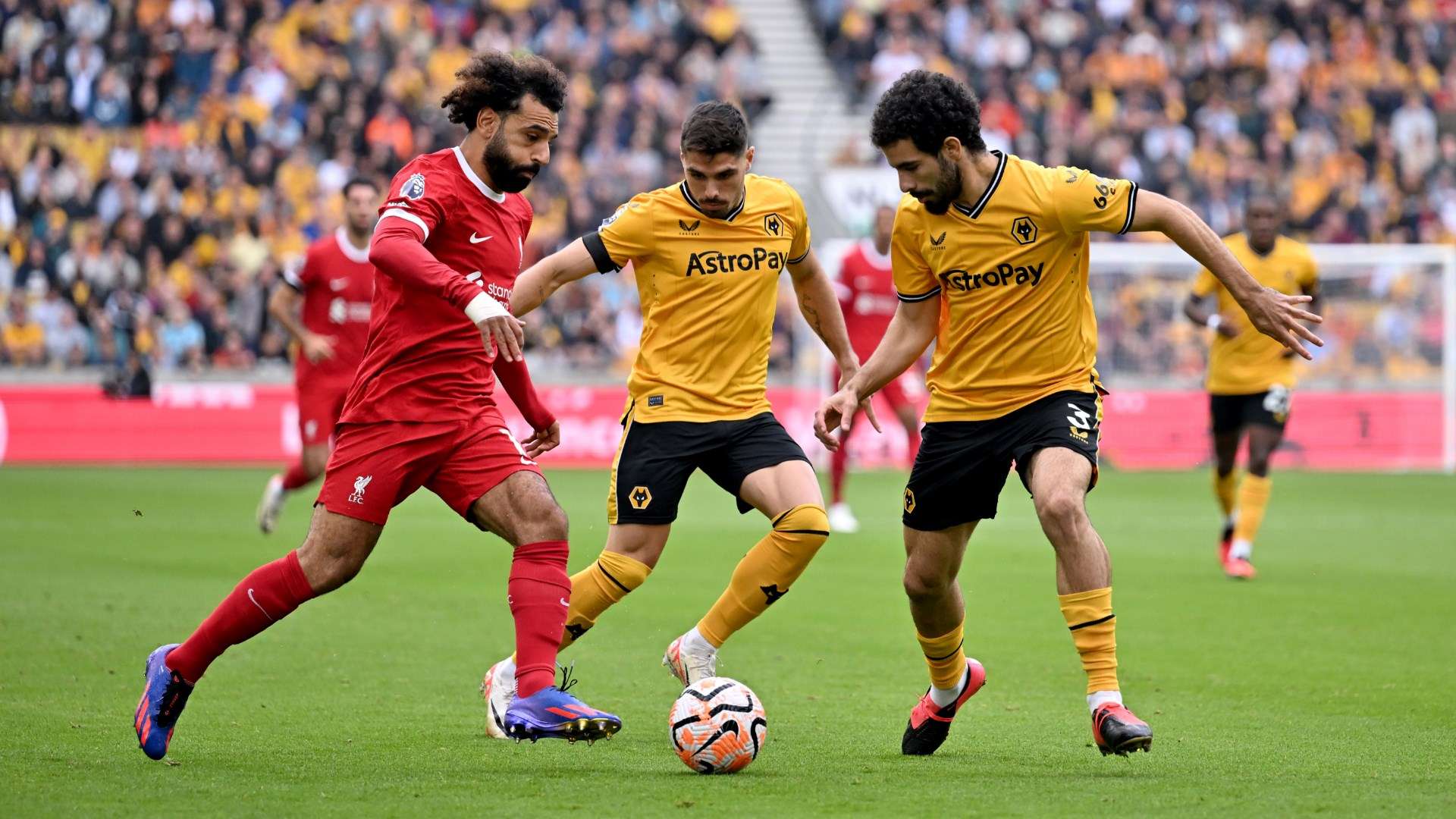 dortmund vs hoffenheim