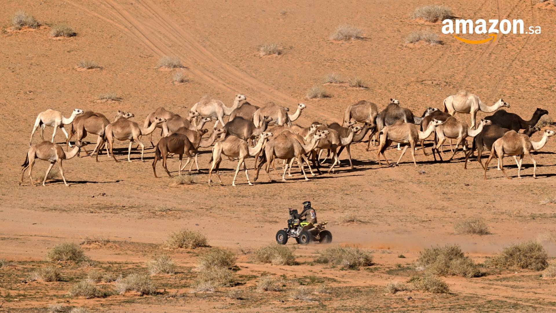 Saudi desert