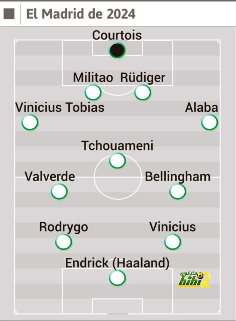 dortmund vs hoffenheim