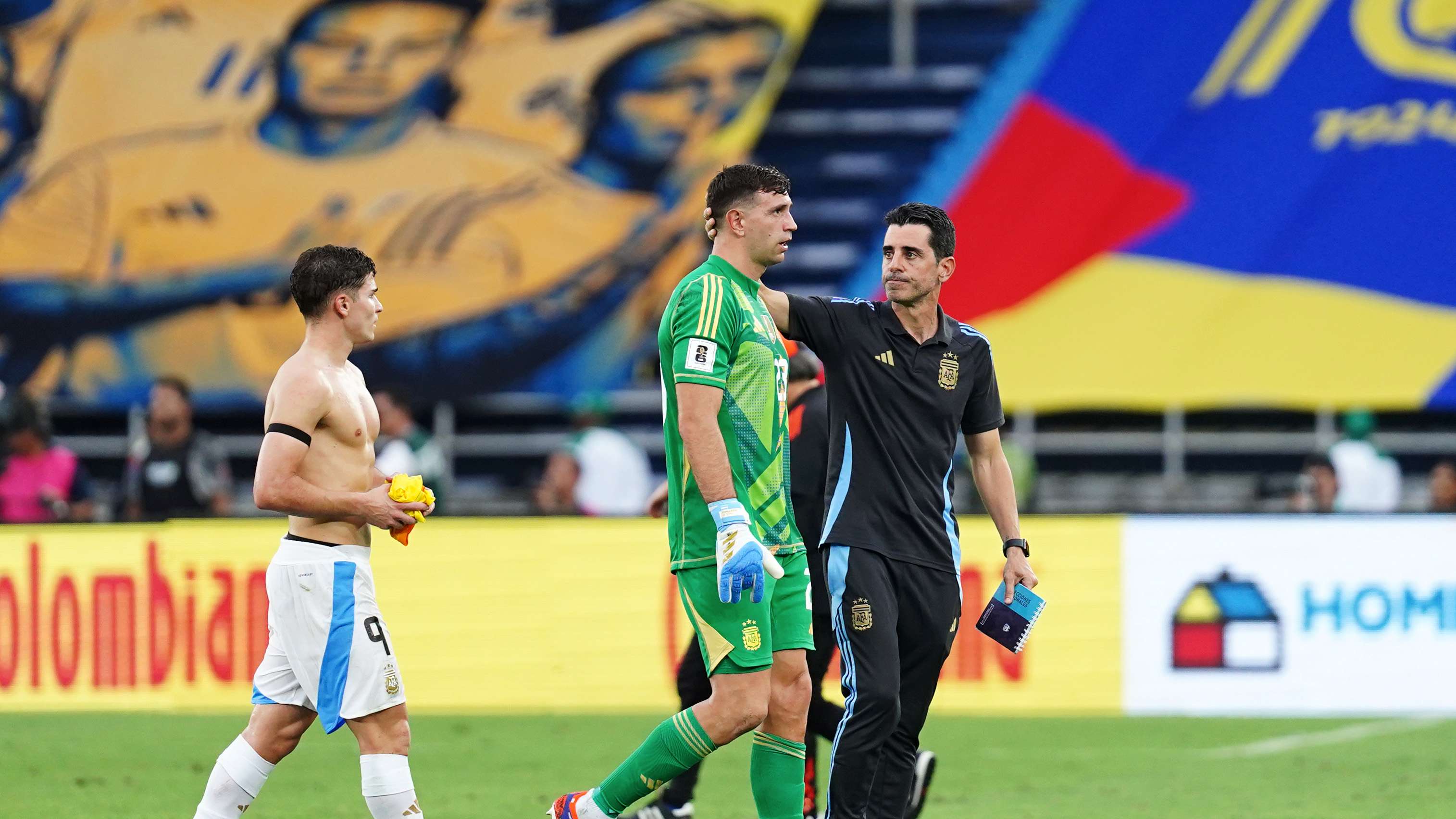 dortmund vs hoffenheim