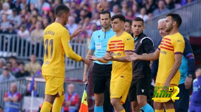 dortmund vs hoffenheim