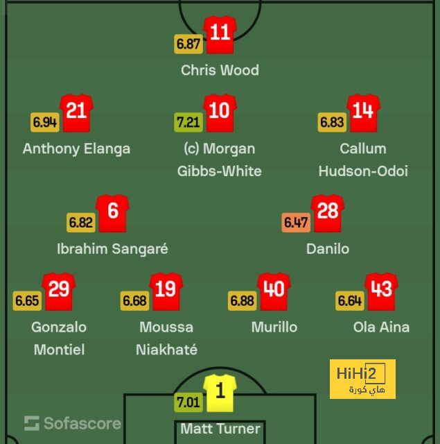 dortmund vs hoffenheim