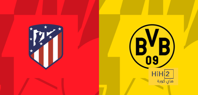 dortmund vs hoffenheim