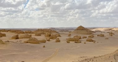 مواعيد مباريات كأس العالم القادمة