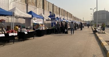 enyimba vs zamalek