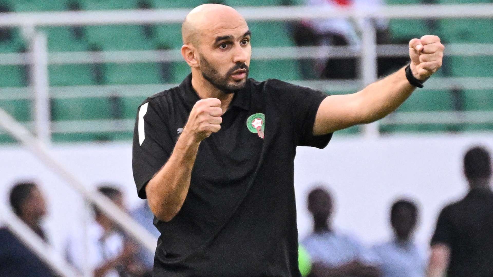 ماذا قدم رونالدو خلال عام كامل بقميص النصر؟ 